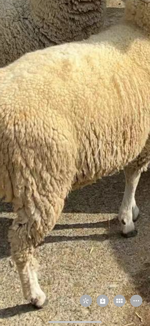 Thumb f24030a8 c7ae 48e5 95ee 3e747649f9b6