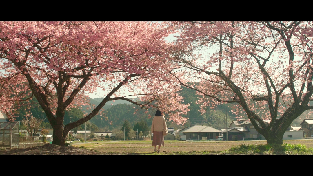 Thumb bdcc3e22 afad 40fd 8c06 2b51bdb13711