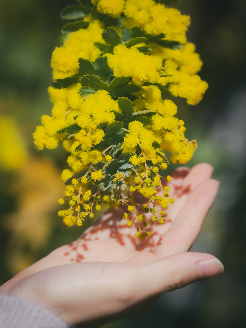 Thumb abb7616f 49ff 4155 af23 155f214e49a0