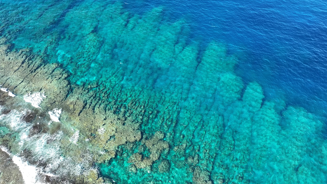 Thumb 2be96f4d 590e 463f bd05 5ac14419fe9a