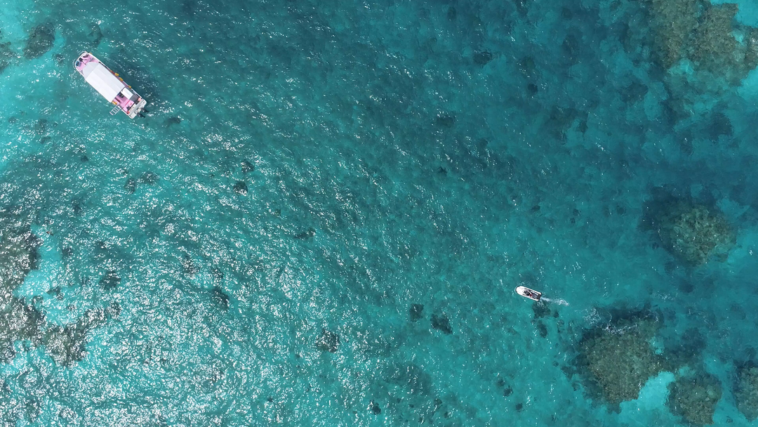 Thumb 95b1069c bb70 40c9 a5dc 824096a555bf