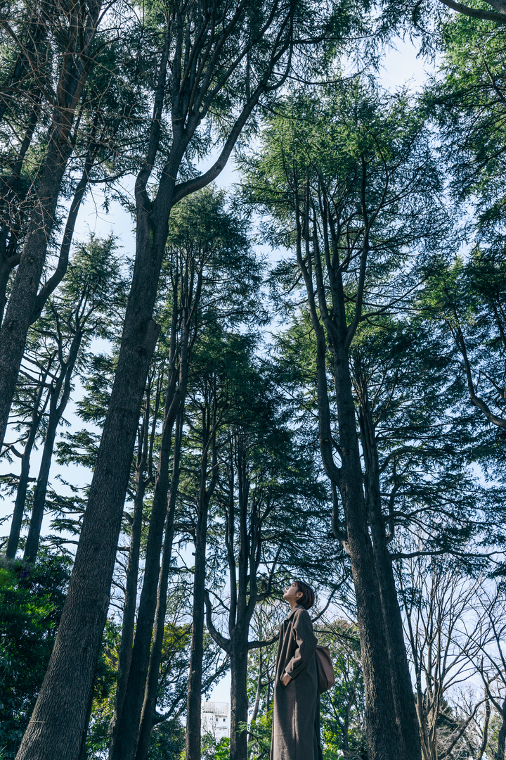 Thumb 6e58320c 7700 4c2d bff7 9267d88435af