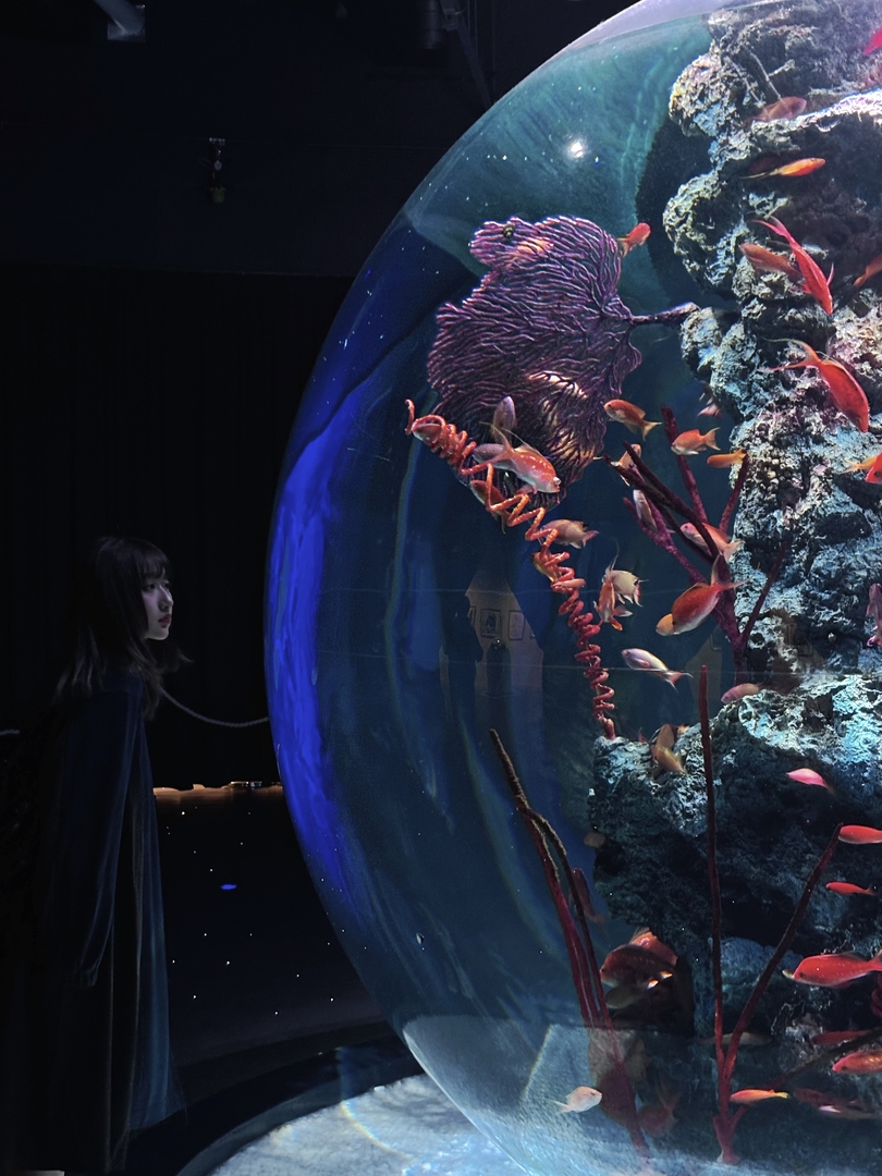 Thumb 021db605 f9c1 4c5a 814d b8e1a54c4703