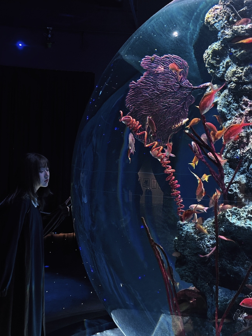 Thumb 4eac80a9 207e 4b9b 904e 8efc3a35bcac