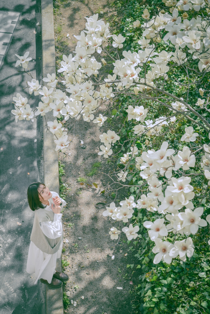 Thumb 66383bc2 0f8c 4773 a5a2 2223f2f3f9de