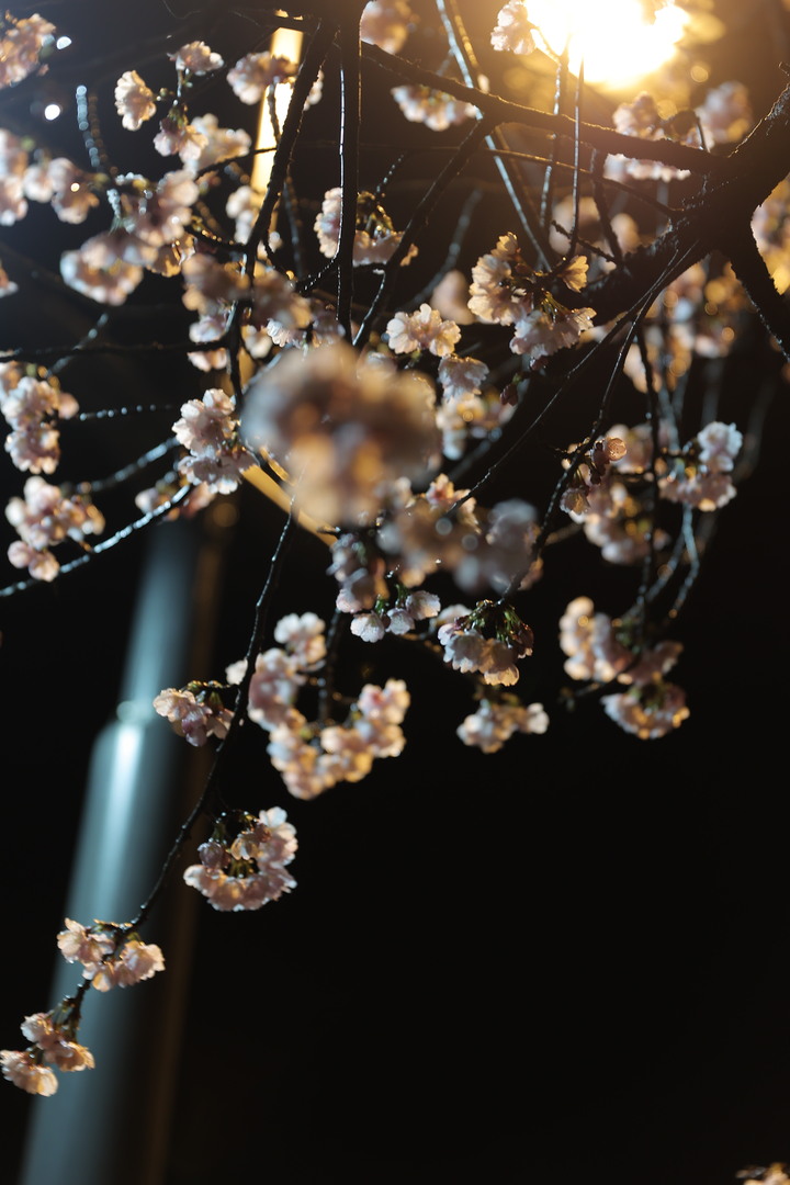 Thumb 3ee22e10 b247 4e44 8696 cafac91cb131