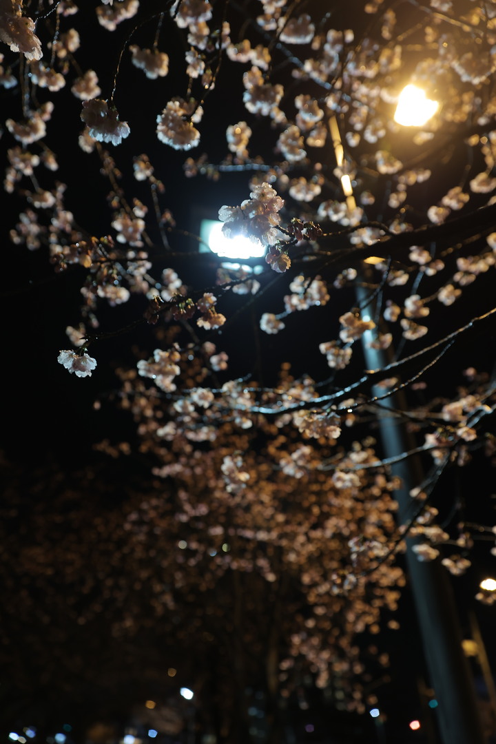 Thumb 8c40ed5f fa78 44ed 9623 ec776dfb7568