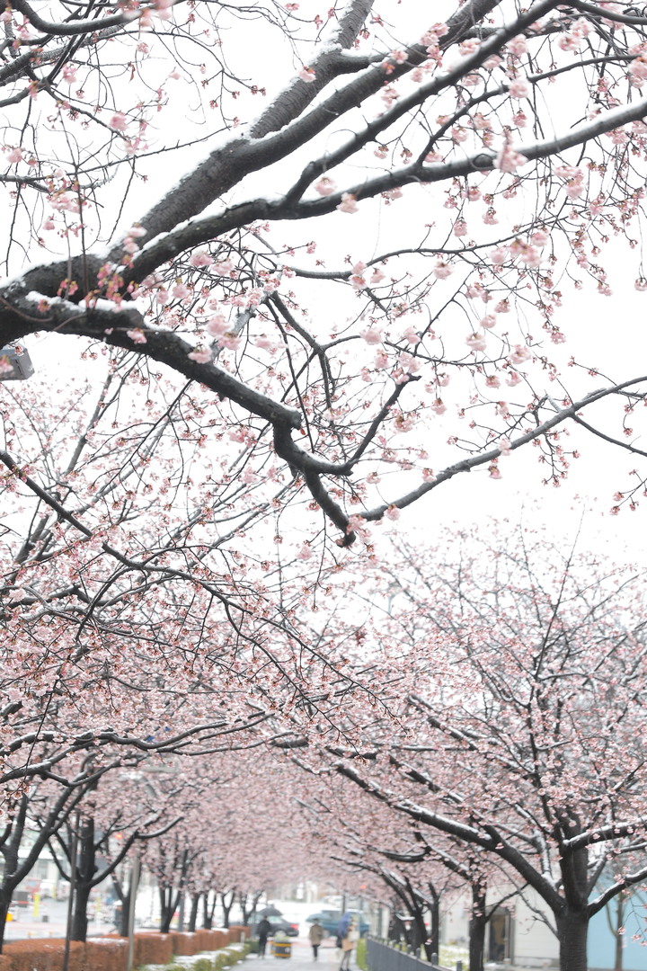 Thumb 8bf1ce0d d9ae 4eee 9340 405520584f92