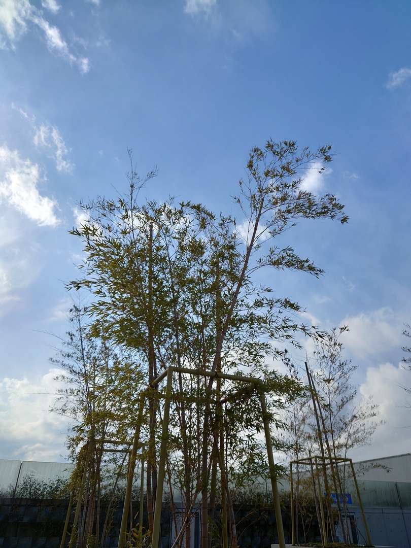 Thumb 30da79f5 24bf 468c a850 b4d03d28ac29