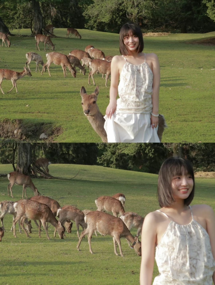 Thumb 471879a5 1579 4f93 bc6a 4f740de8ffbf