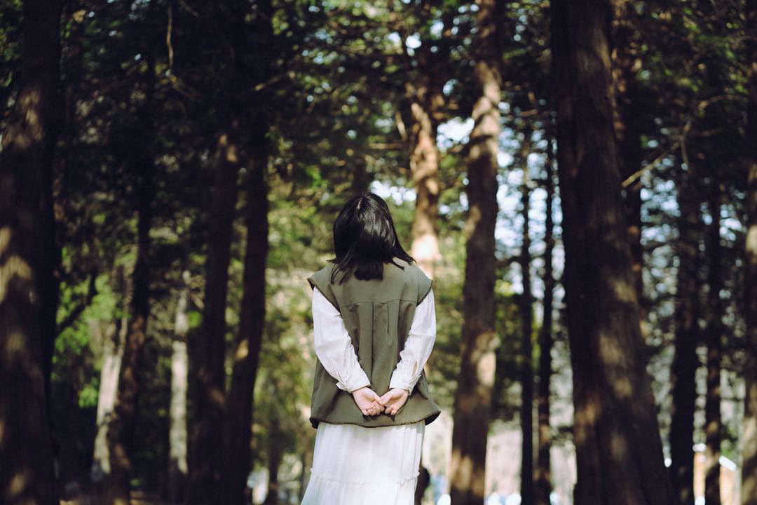 Thumb 0fd18e51 2731 4a78 b9c5 6af1c0b3bac1