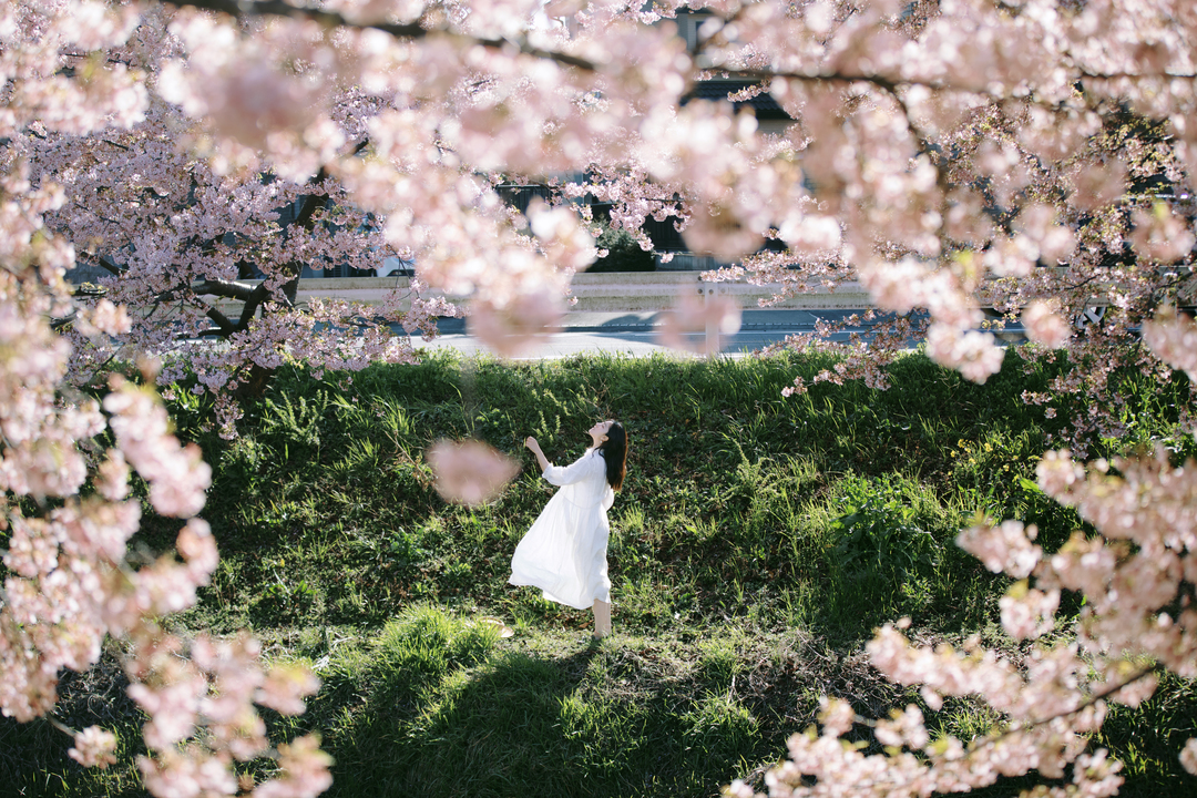 Thumb 48cc833e 390e 4be6 9494 bf0035c70588