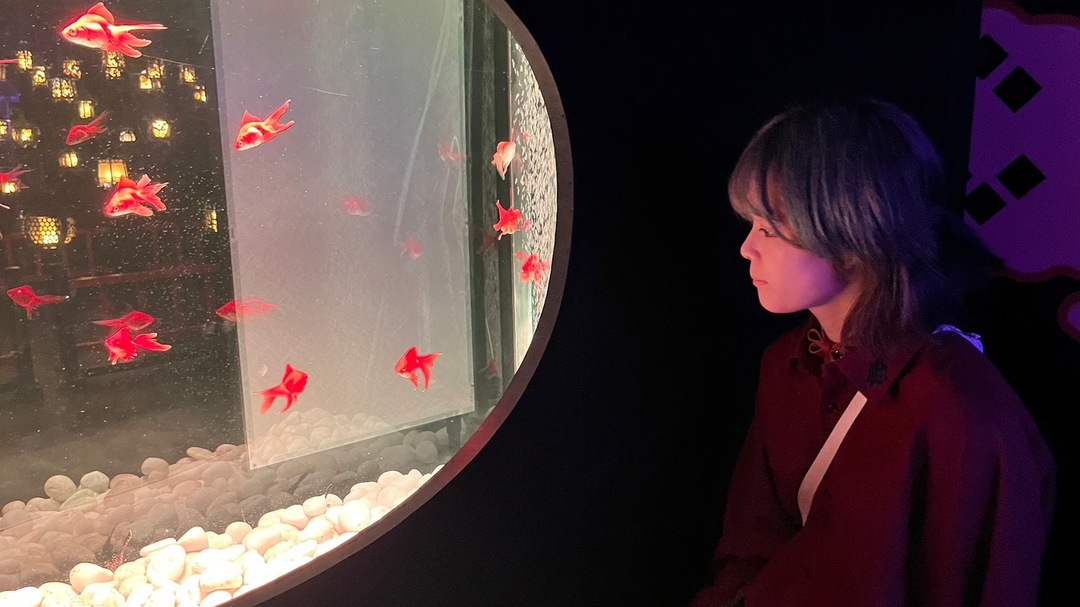 Thumb de6a9661 a3c0 4049 8150 01885c42d508