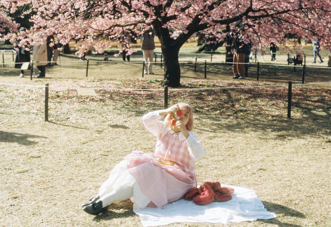 Thumb 5156d8e8 e990 4230 8018 e3b7cf81a58e