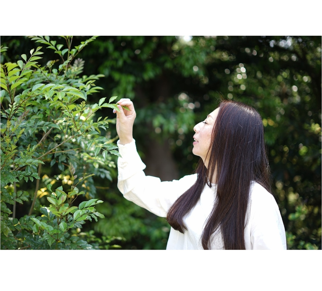 Thumb 94416c46 872b 4cc5 bb5d cb841164f85d