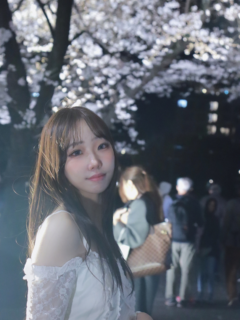 チョウのページ/モデル