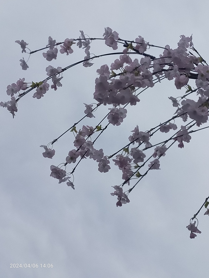 Thumb 07b477ba 3e7a 4390 9f50 b67f12a557be