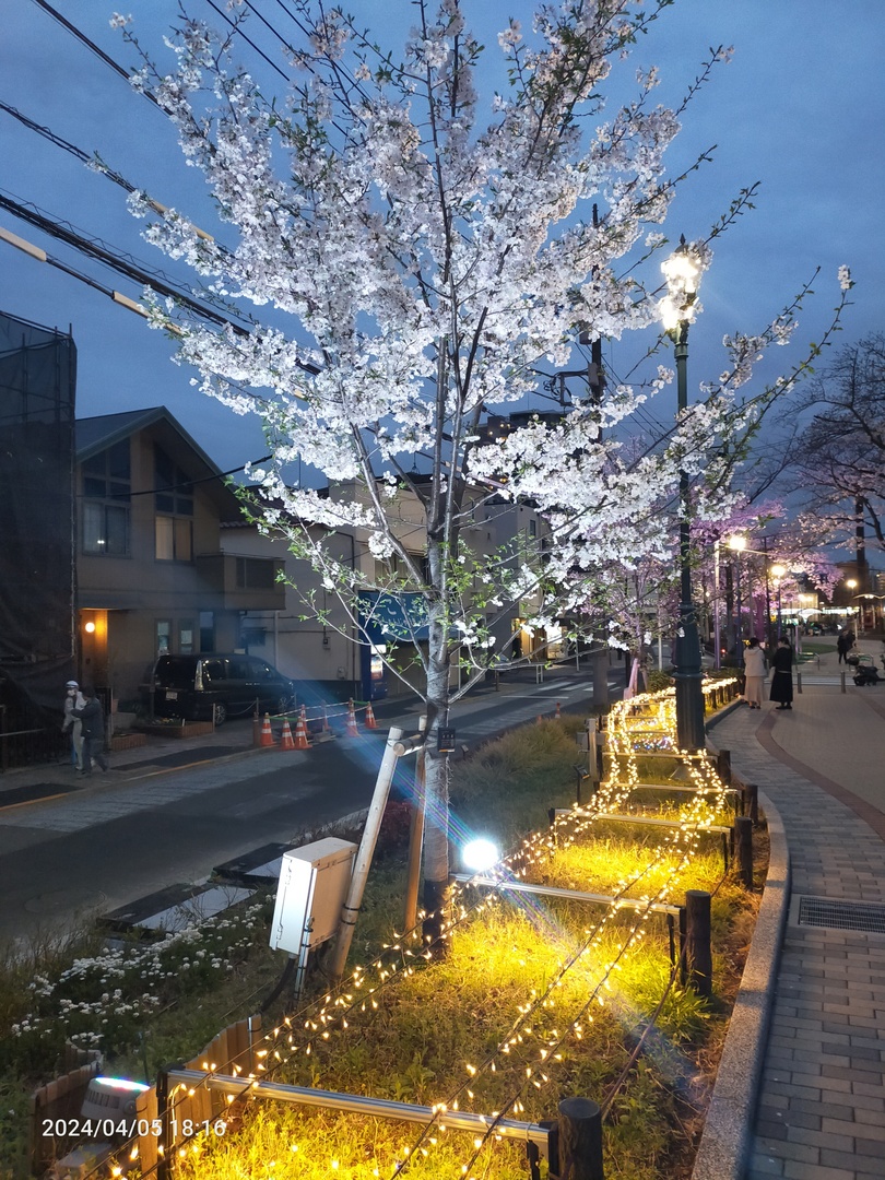 Thumb a1aa54c0 a927 47ae 8e37 2db885985012