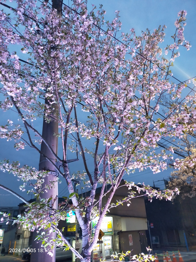 Thumb ed7d9fe4 67c3 4c87 a7c1 1c1cb1a2abe9