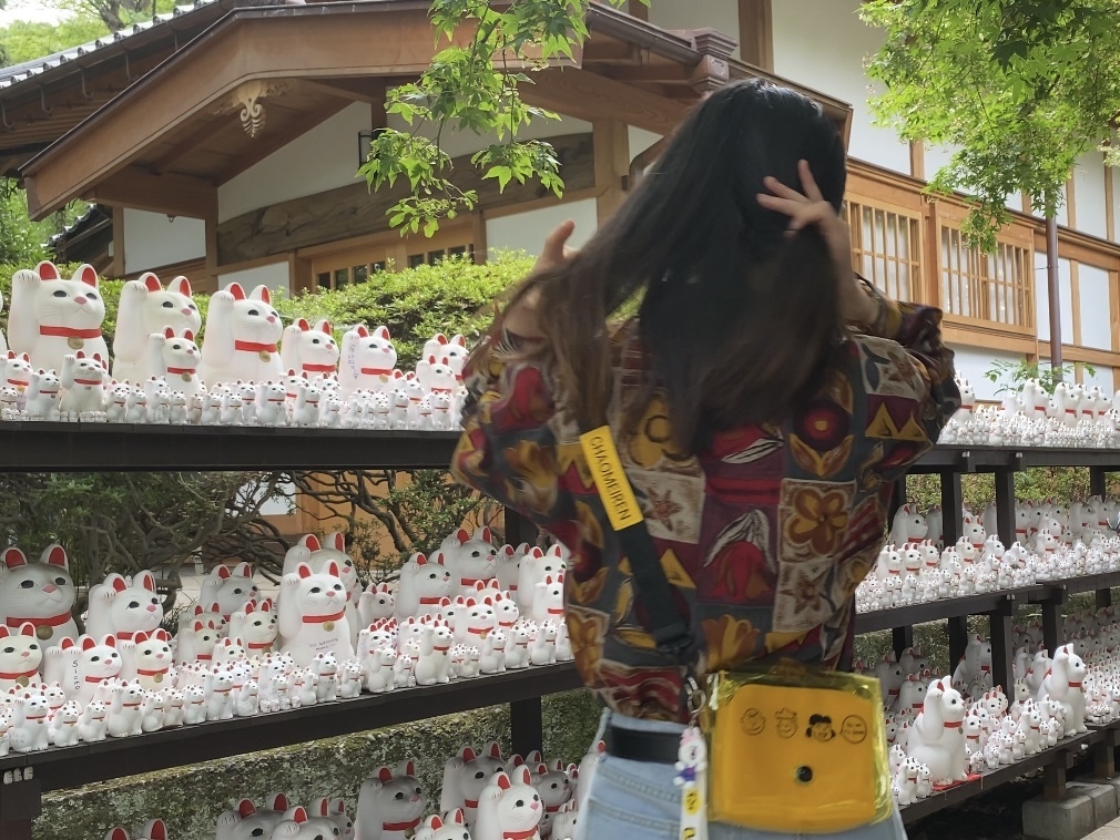 Thumb 2e1dd565 ff6f 4e85 b817 33bb46bc8f5c