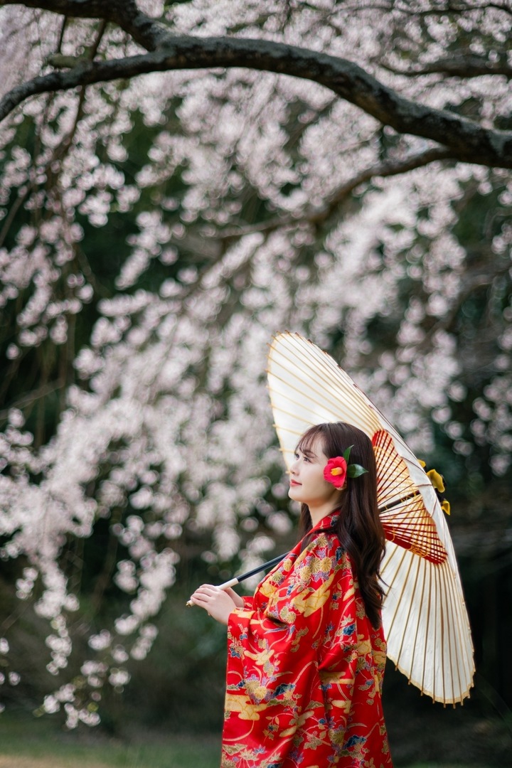 Thumb 3f21c5c6 151e 453a 9f40 9ceb39df98cf