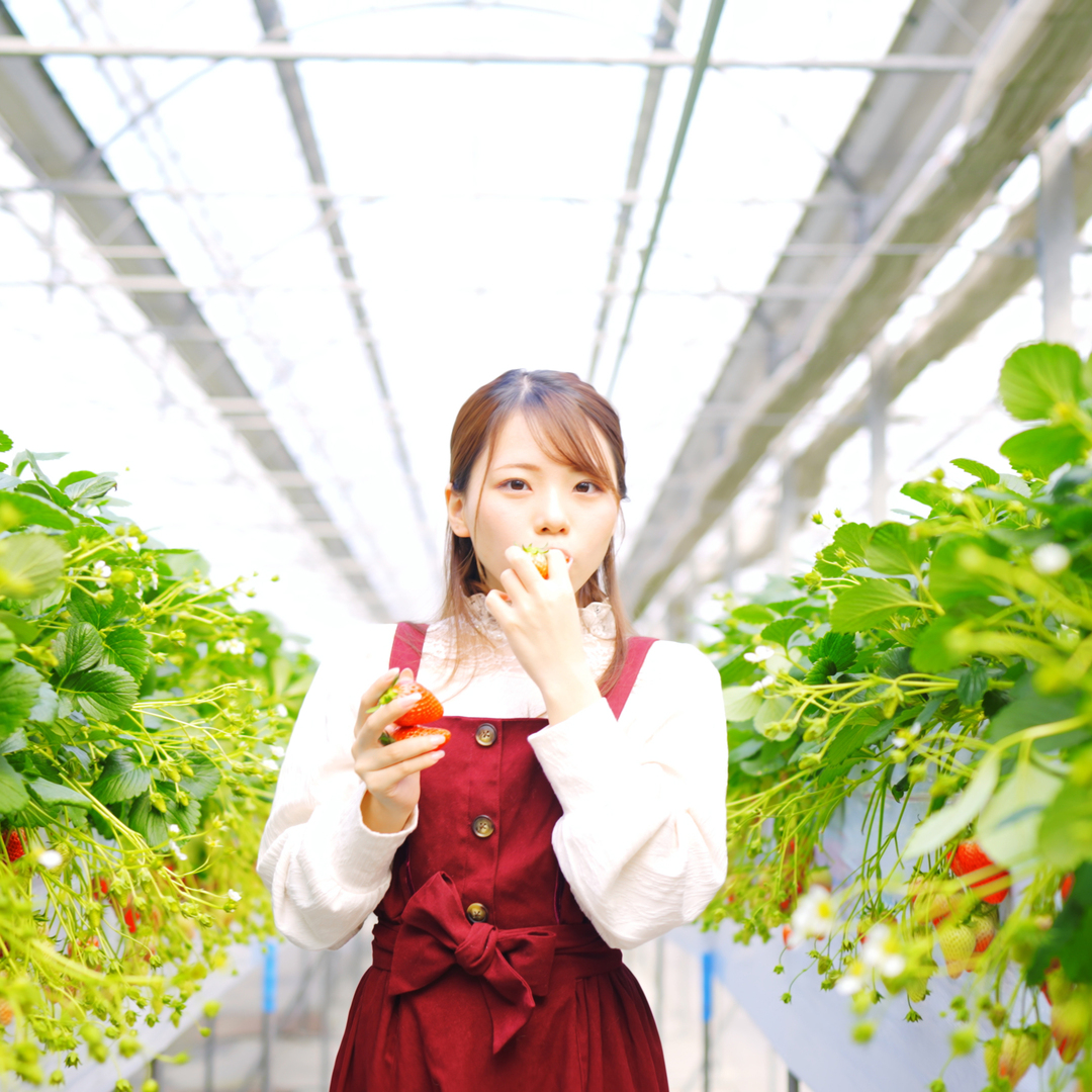 Thumb 0cd47171 66c8 42cc a6d0 08813ebfb353