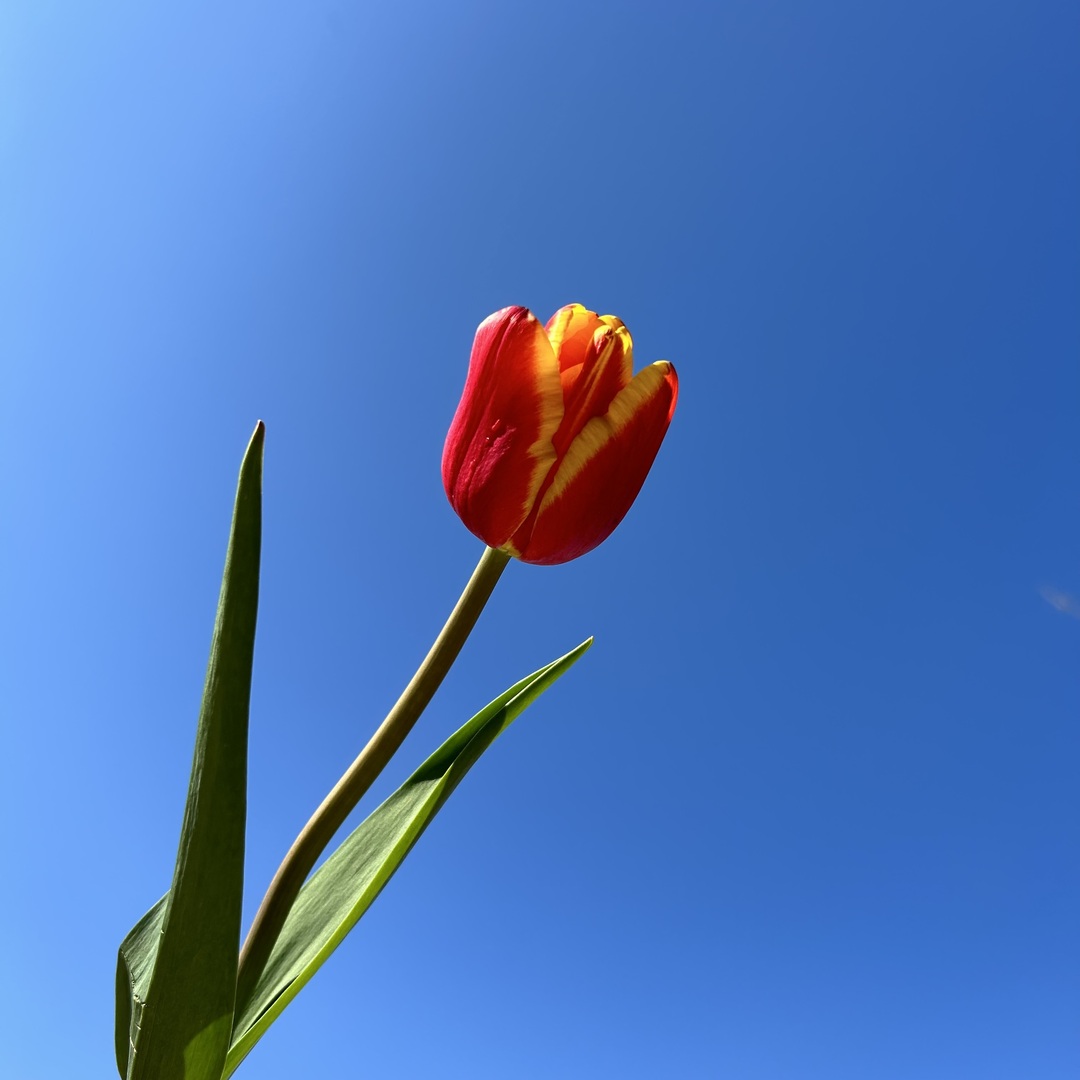 Thumb 94176e2e b9fc 4591 87ee 491307603cd7