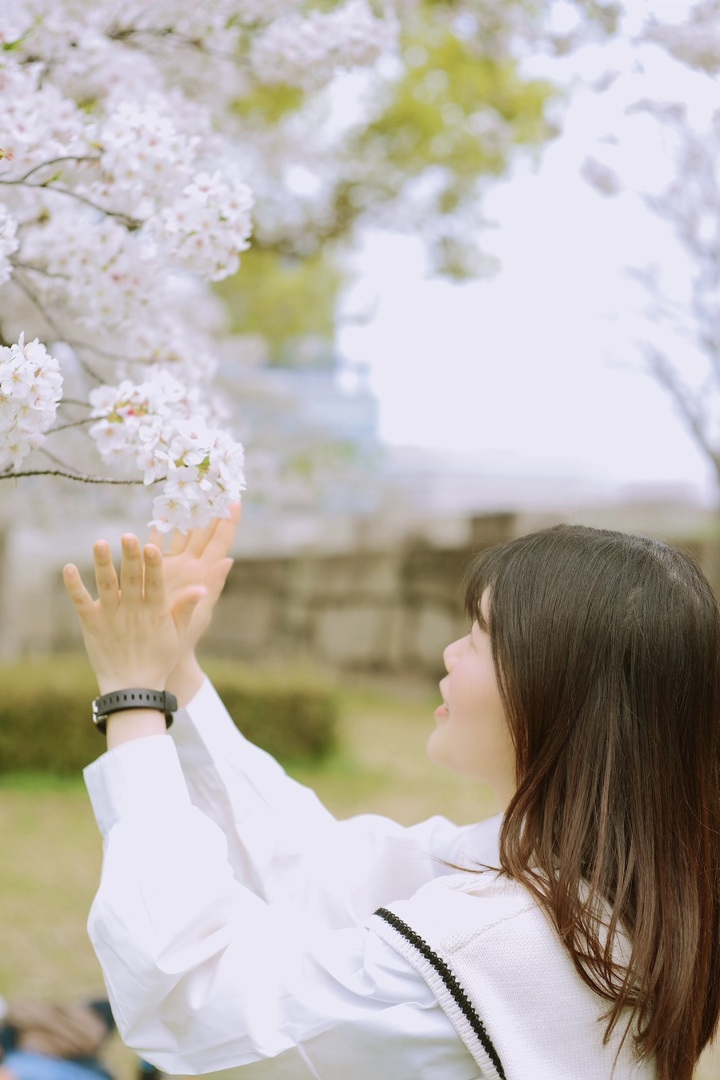 Thumb 40fb0203 843e 41c3 b4bd 0bdc3c641e1f