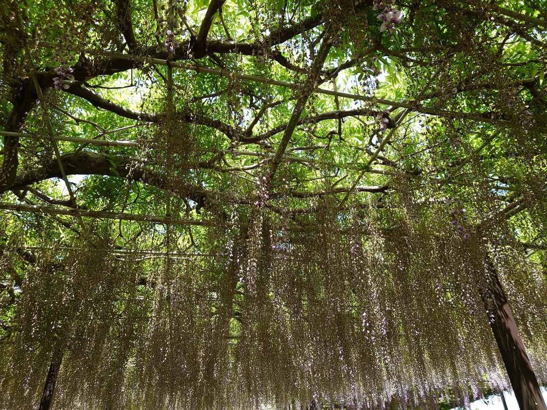 Thumb 3c85627f ca91 4543 b116 4ea35ce789df