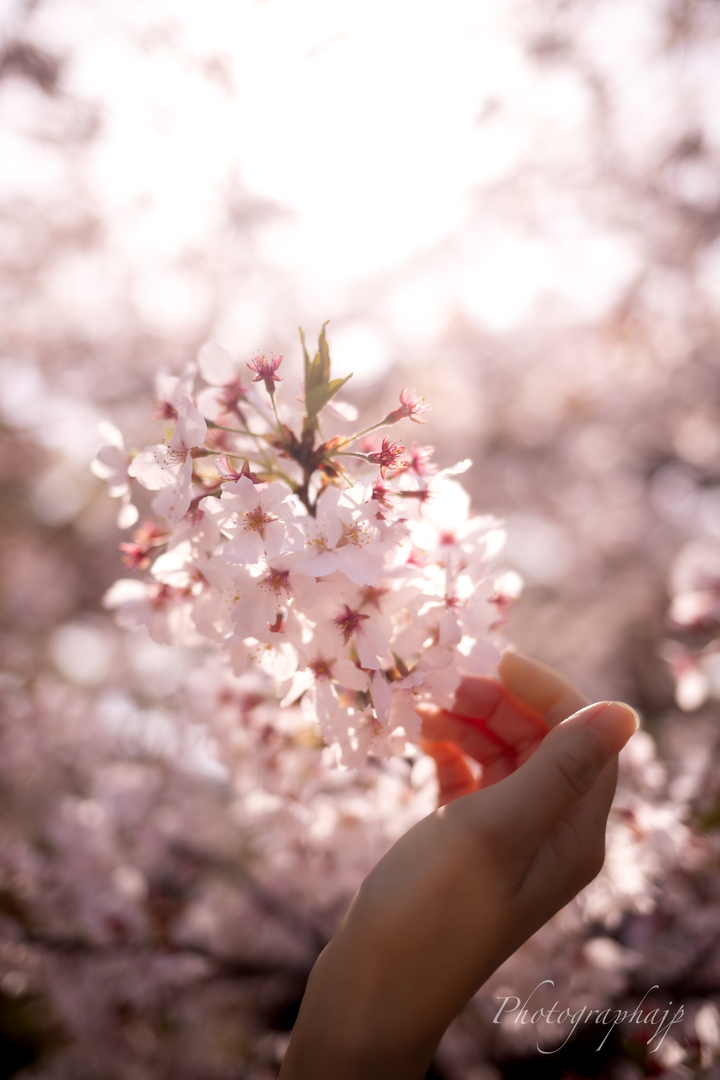 Thumb 7ba1a7a2 633c 4824 9da6 d3da03d06ecd