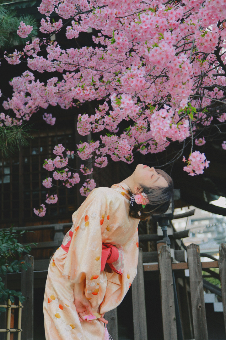 Thumb 74d6ee00 07ac 47db b1f2 c93f45a6539a