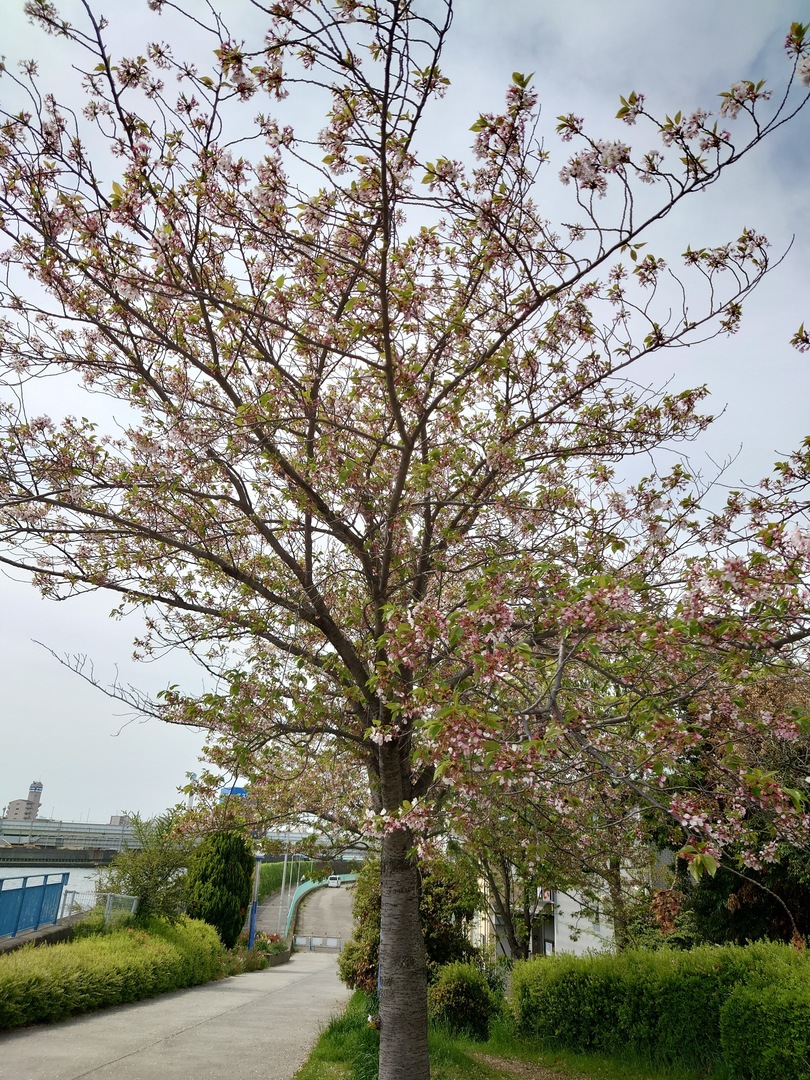 Thumb 87733970 8c9f 44af b3a5 4c8b1b300151