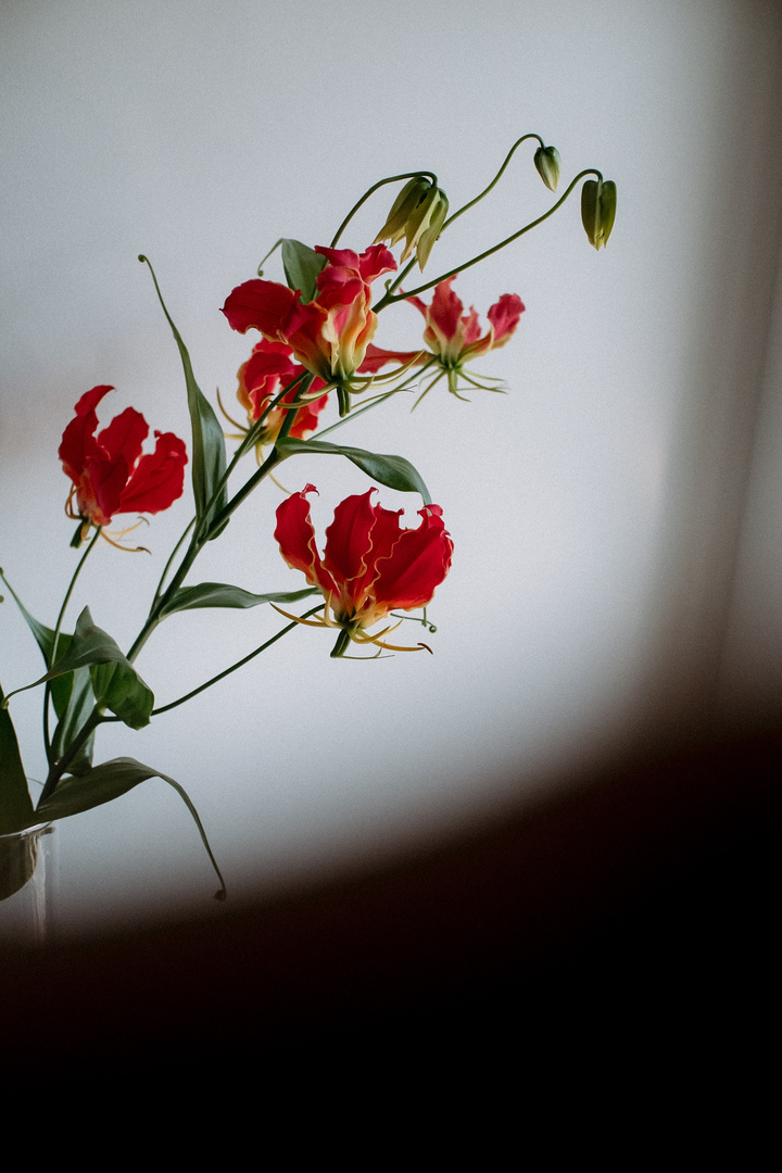 Thumb 4d22af2e 5d47 496e a155 7b24b5fe7deb