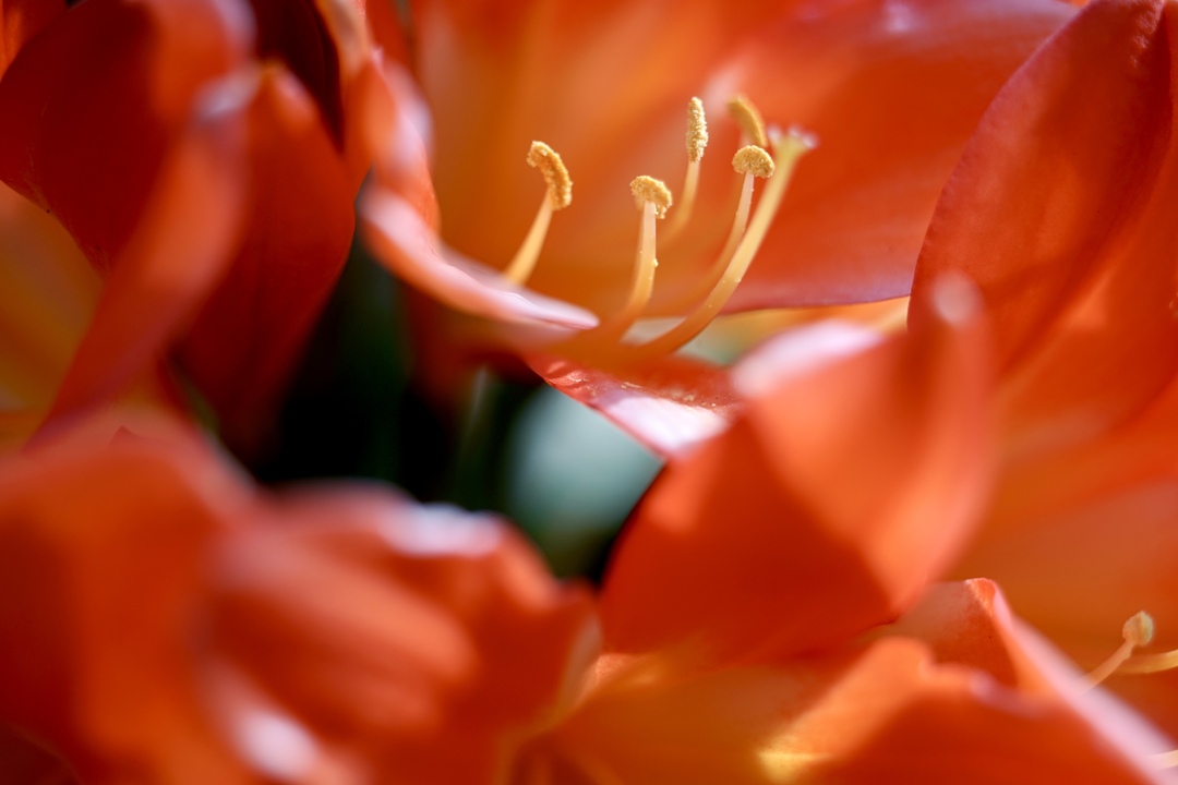 Thumb 84ea3600 9f77 438a 8067 b189afa9a642