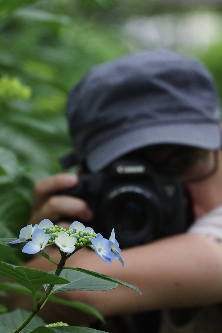 Thumb 78f5082f 89b7 470f 9ea9 5984677382ee