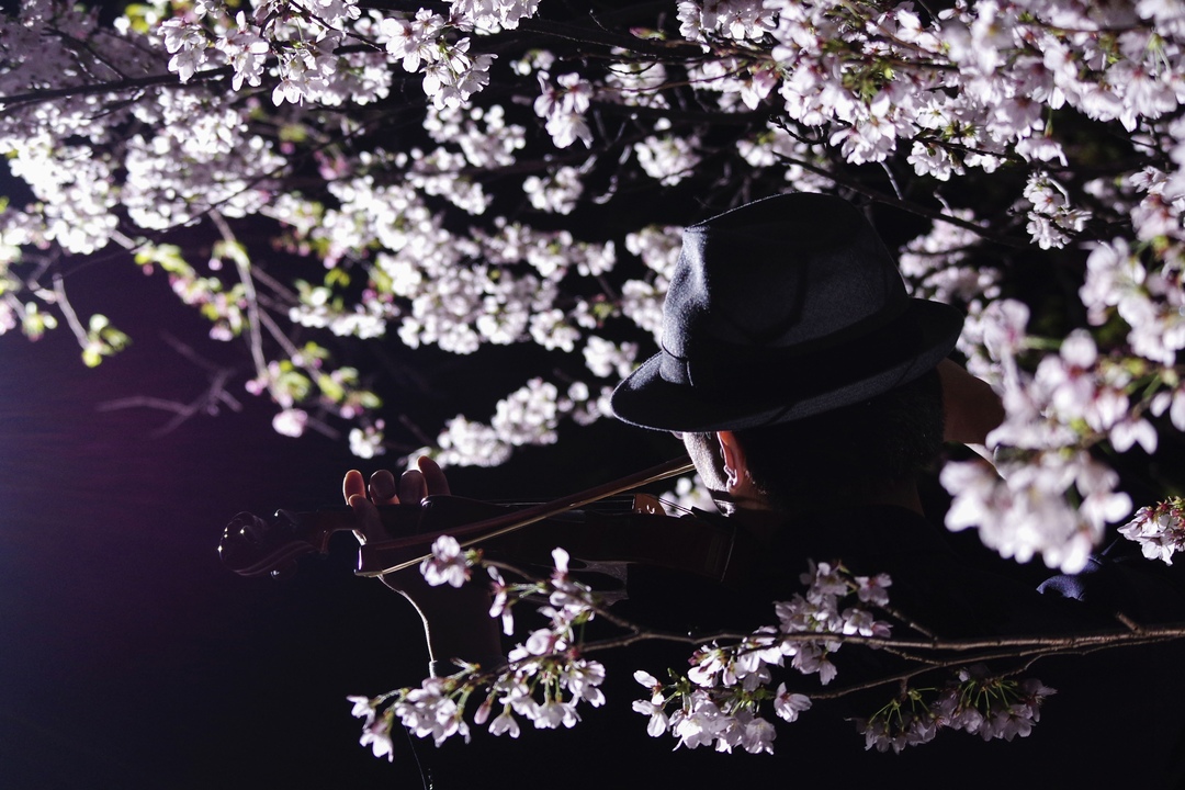 Thumb 48ae8be3 085c 4925 afb7 faed18a9f44a