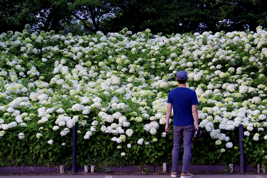 Thumb 4f036523 bc74 407b 8fa2 449d18d3f59d