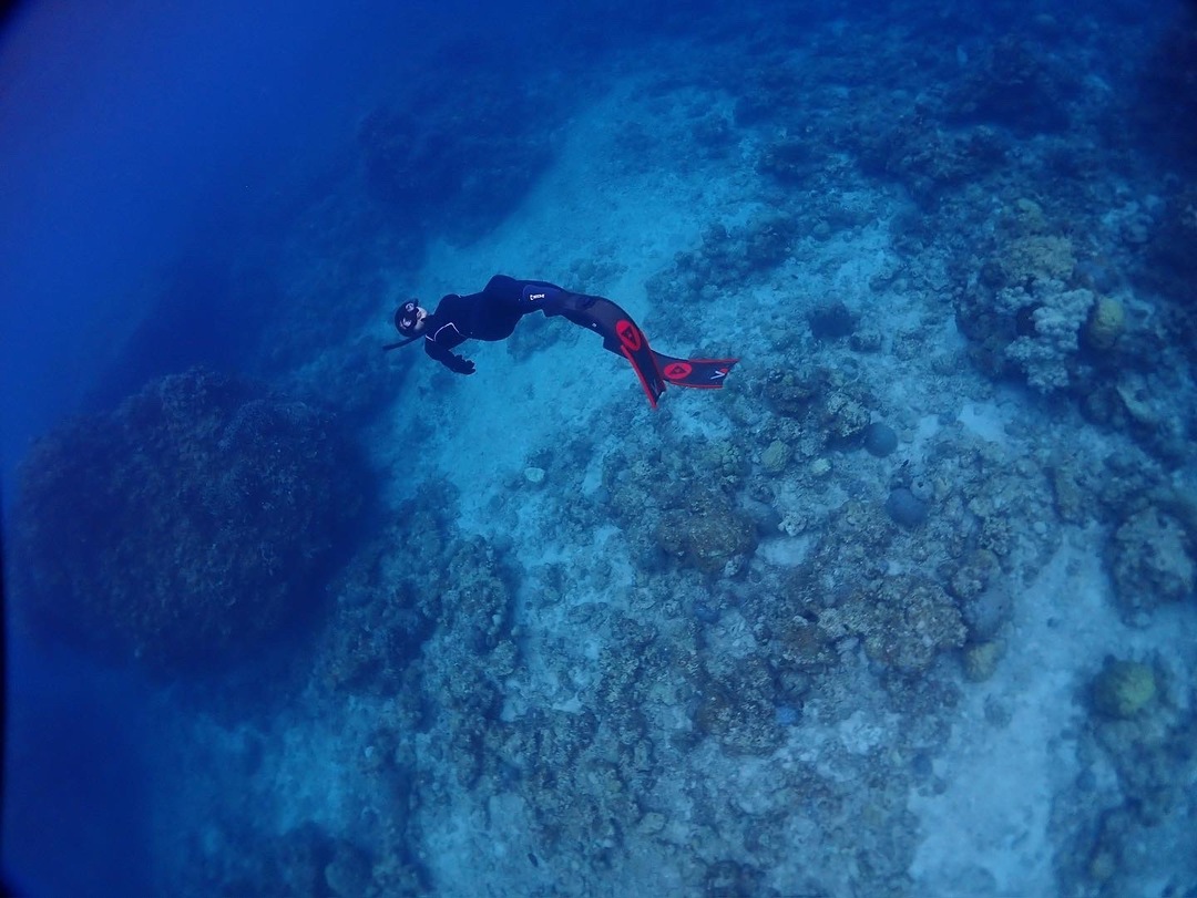 Thumb 9957b180 34b9 4cf4 804d 4c3ba237321e