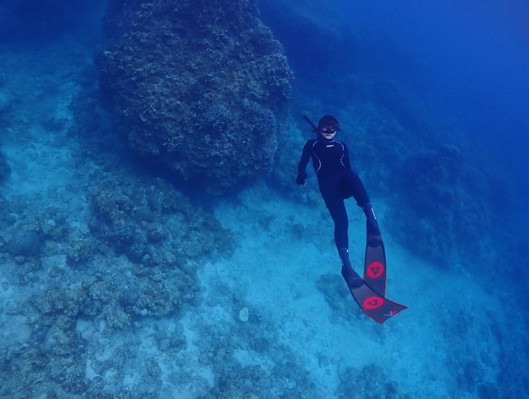 Thumb 5df11655 5716 4b35 8b19 e73df1d589dc