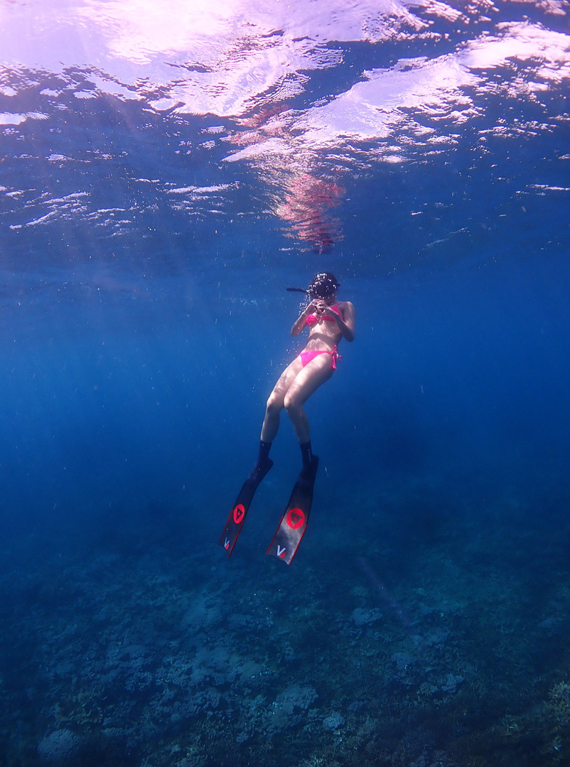 Thumb 0e9307e1 29d9 43ac a3f8 7cbd3ecdd6a0