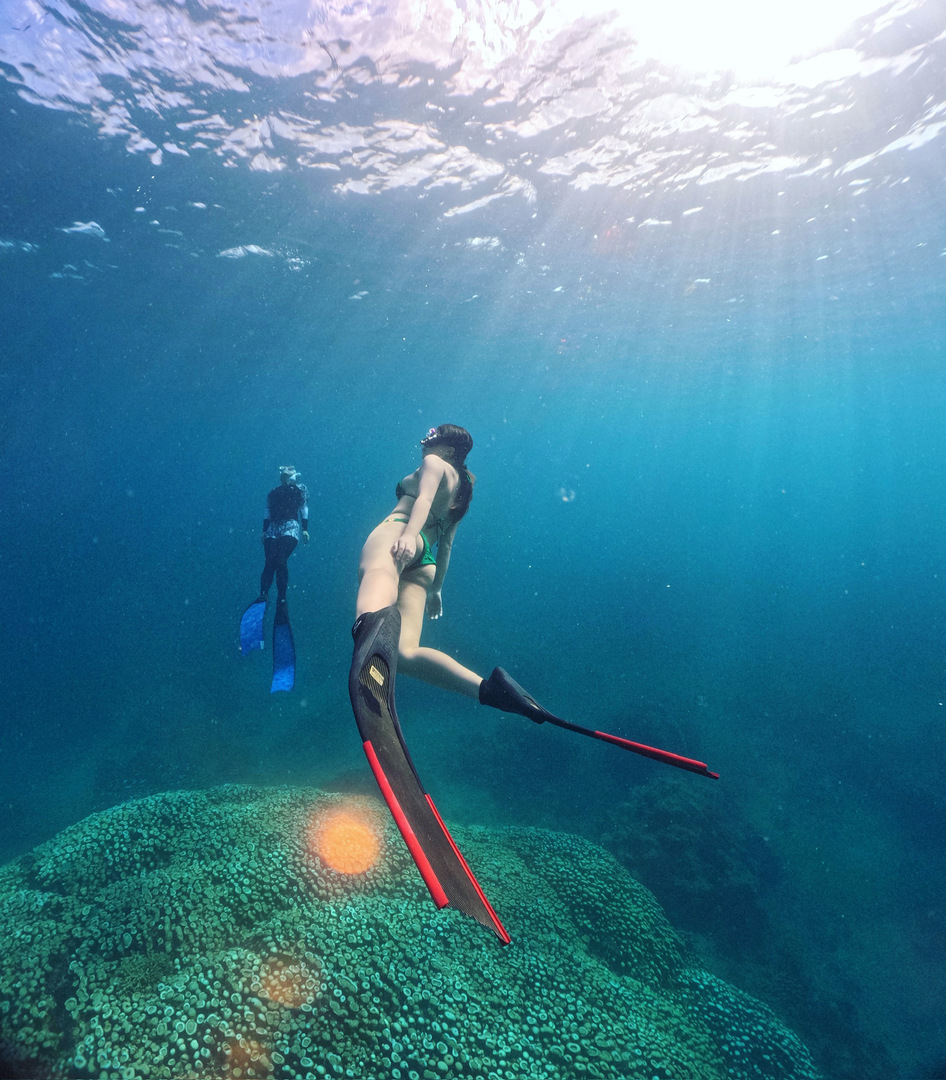 Thumb 2a08e019 e7c9 4d52 b638 3fbee0afe321