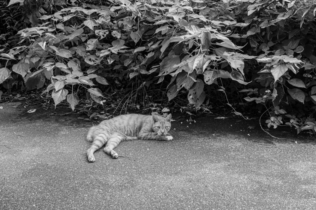 Thumb 962ab247 0e80 4da6 a7e4 a1a77a7f7393