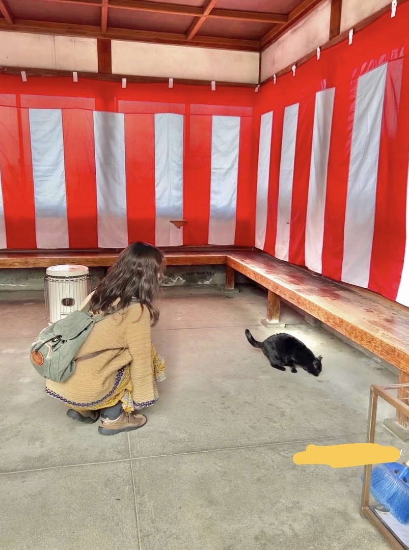 Thumb 5cf4d125 9bb9 4c53 8a00 fa3d475d2466