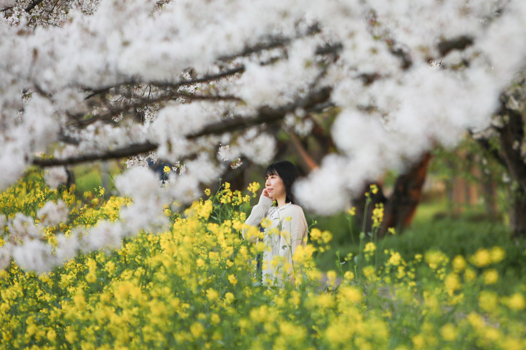 Thumb e1696c28 0dcf 4de9 9fd0 124ad3bf41b2