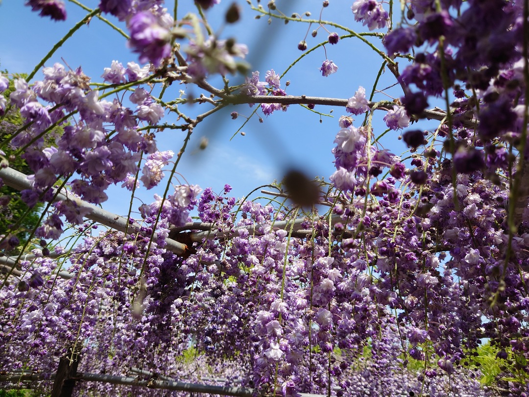 Thumb 961ef00c fc92 4972 8f51 201fbb85fe54