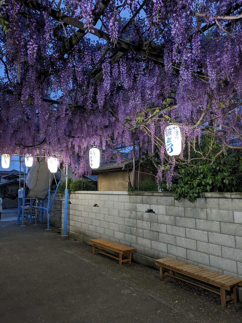 Thumb 61392040 5838 46a1 93fc f487d6a1a0f1