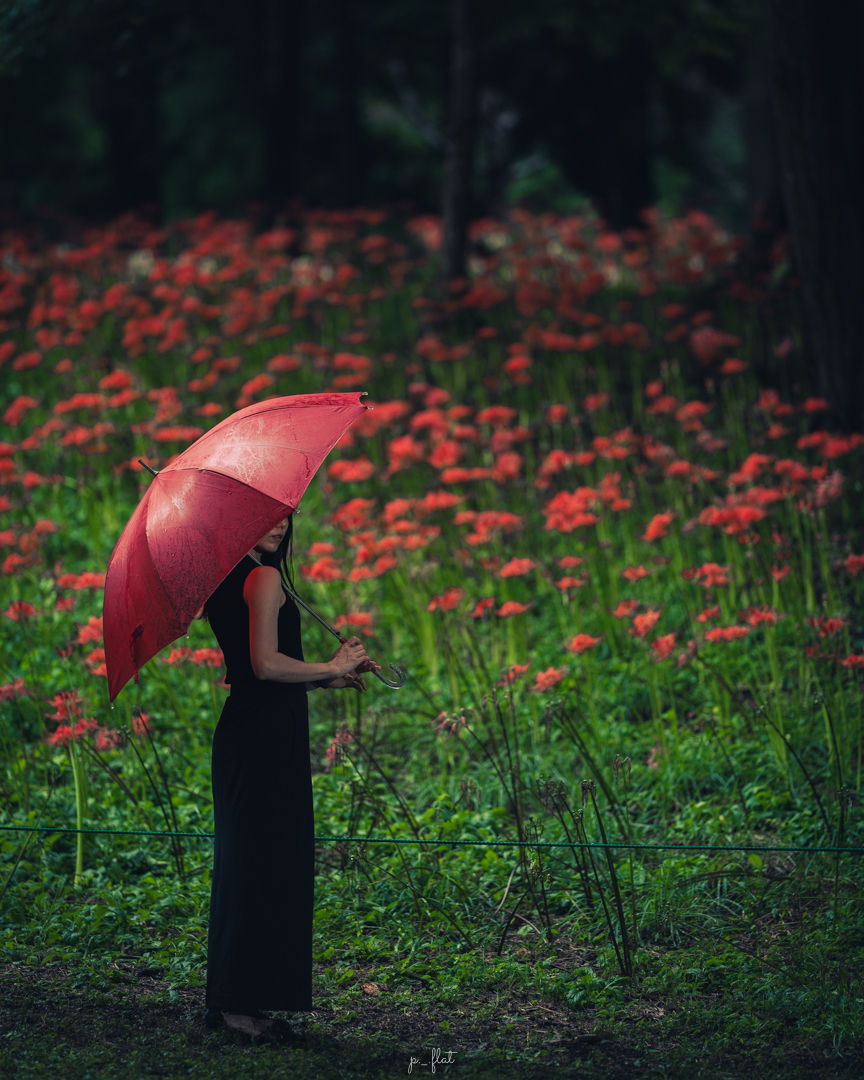 Thumb 244d1cac 93b7 405f 88e5 4e4e8fa92fd8