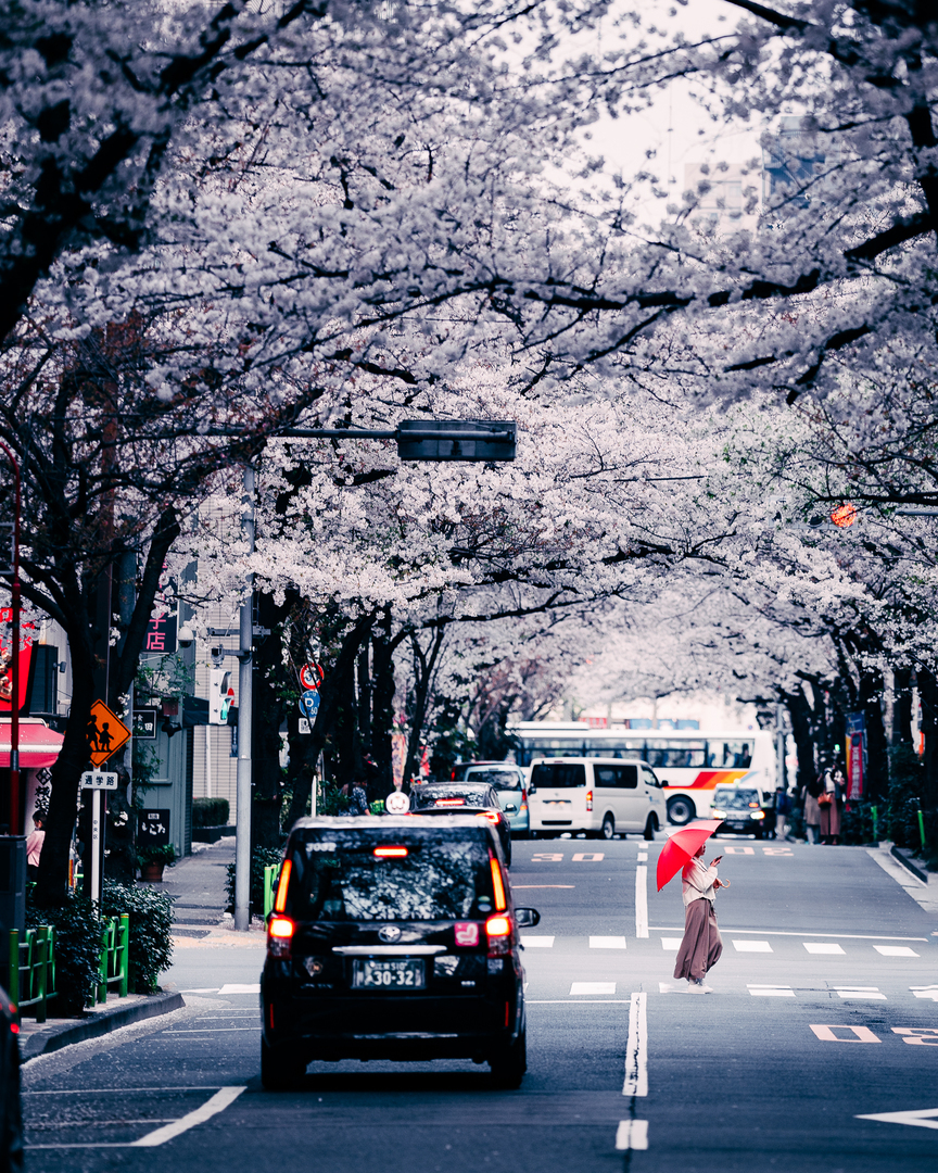 Thumb 6b686518 86ff 44b5 9a7f 513e050b1b1f