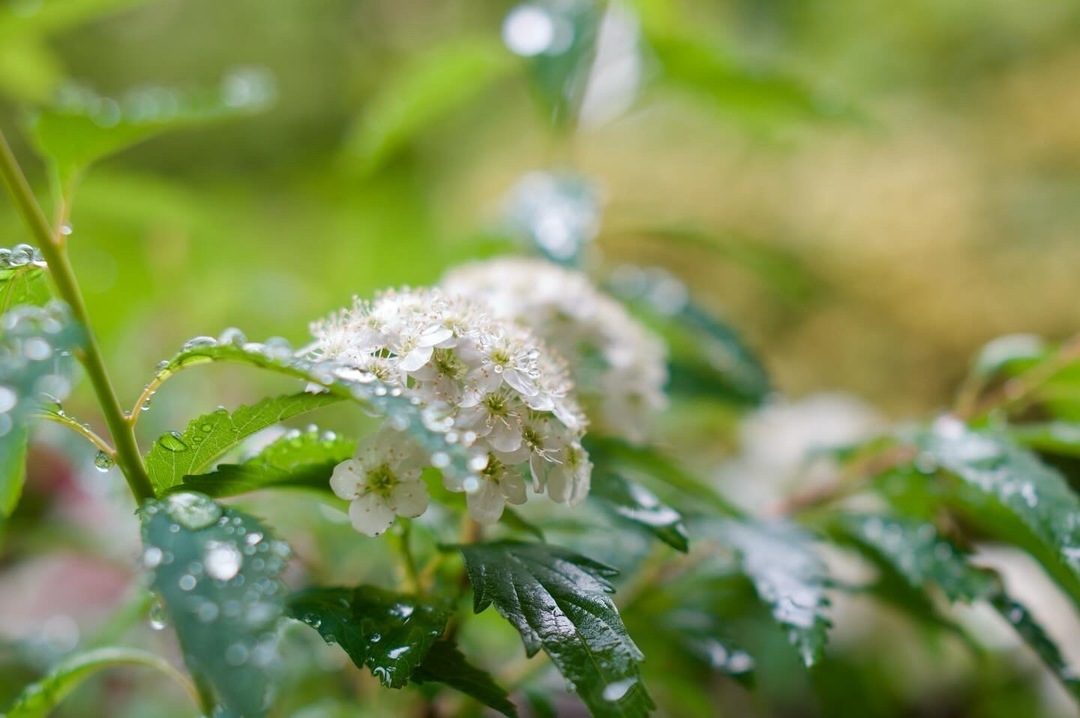 Thumb be27a9b9 b1a5 4b14 9725 19df8fa84c4b