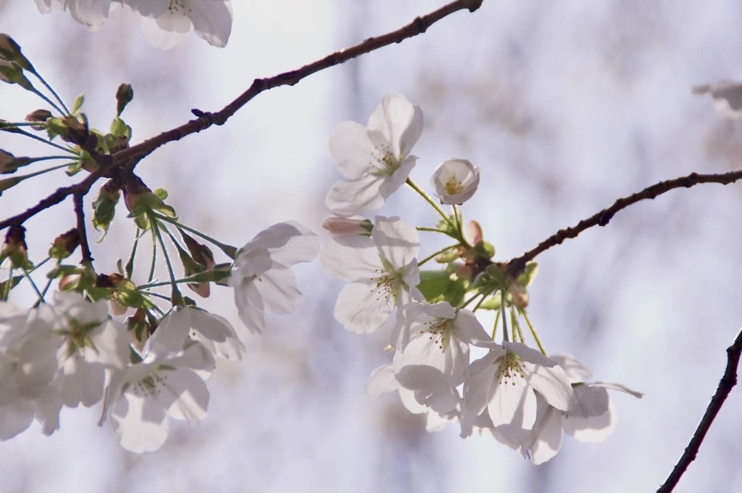 Thumb a8727a44 890f 41b3 8fa9 0a7142b216d7